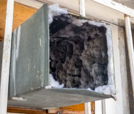 Duct Service